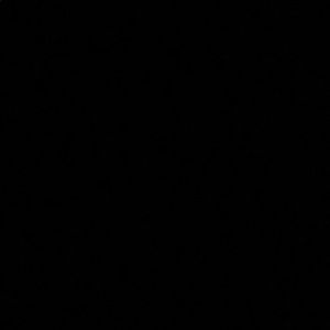 Meet your Posher, Beyza